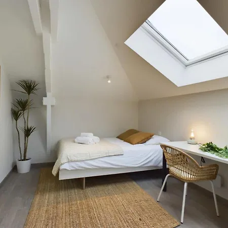 Imma Chic Coliving Spaces